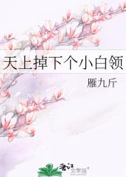 天上掉下个小白领