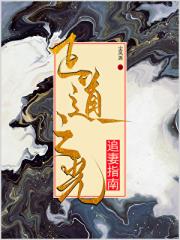 正道之光追妻指南