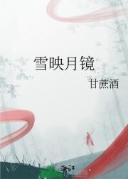 雪映月镜