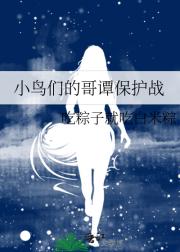 小鸟们的哥谭保护战