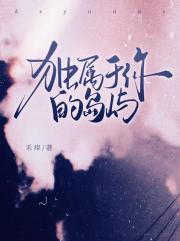 独属于你的岛屿