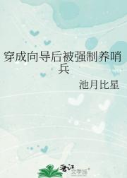 捡个上将当债主