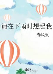 请在下雨时想起我