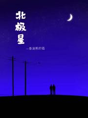 北极星
