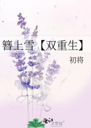 簪上雪【双重生】