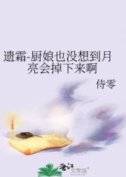 遗霜-厨娘也没想到月亮会掉下来啊