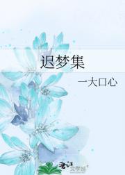 迟梦集