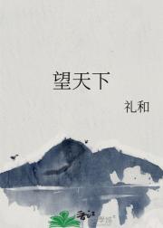 望天下