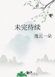 未完待续