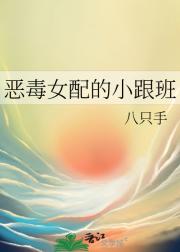 恶毒女配的小跟班