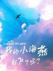 我的小海燕起飞了吗?