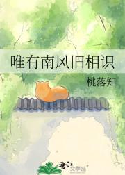 唯有南风旧相识