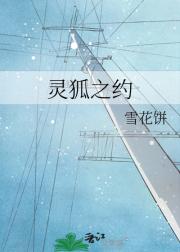 灵狐之约