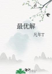 最优解