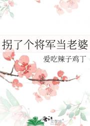 拐了个将军当老婆