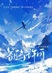 着陆许可