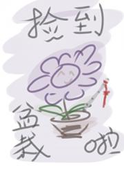 [家教+剑三]捡到盆栽啦！