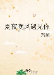 夏夜晚风遇见你