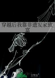 穿越后我靠非遗发家致富