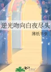 逆光吻向白夜尽头