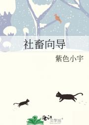 社畜向导