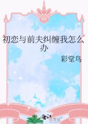初恋与前夫纠缠我怎么办