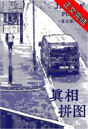 真相拼图