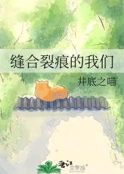 缝合裂痕的我们