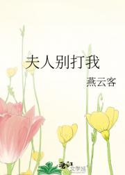 夫人别打我