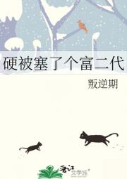 硬被塞了个富二代