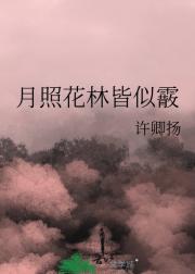 月照花林皆似霰