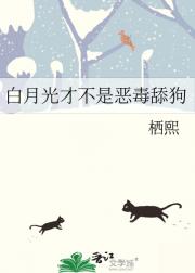白月光才不是恶毒舔狗
