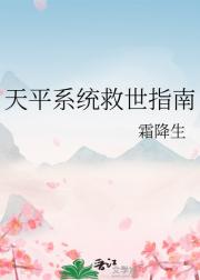 天平系统，端水救世
