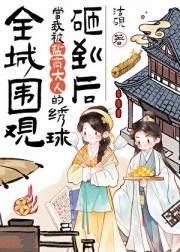 全城围观：当我被盐商大人的绣球砸到后