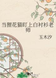 当狸花猫盯上白衬衫老师