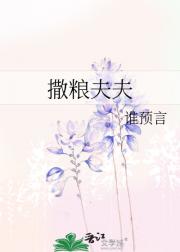 撒粮夫夫