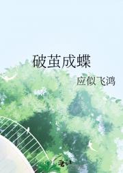 破茧成蝶