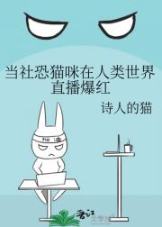 当社恐猫咪在人类世界直播爆红