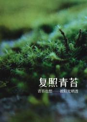 复照青苔