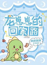 龙崽崽的回家路