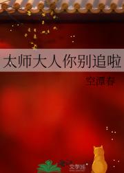 太师大人你别追啦