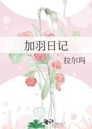 加羽日记