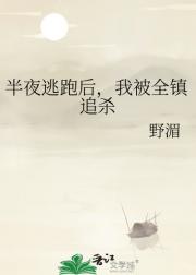 半夜逃跑后，我被全镇追杀