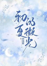 初夏的微光