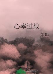 心率过载