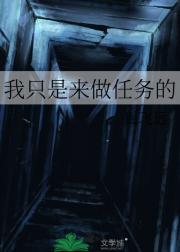 我只是来做任务的