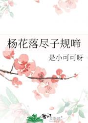 杨花落尽子规啼