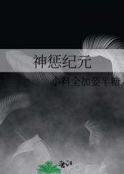 神惩纪元