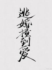 逃婚撞到爱