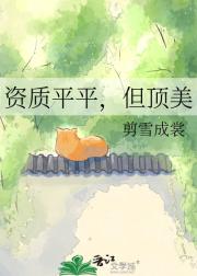 资质平平，但顶美